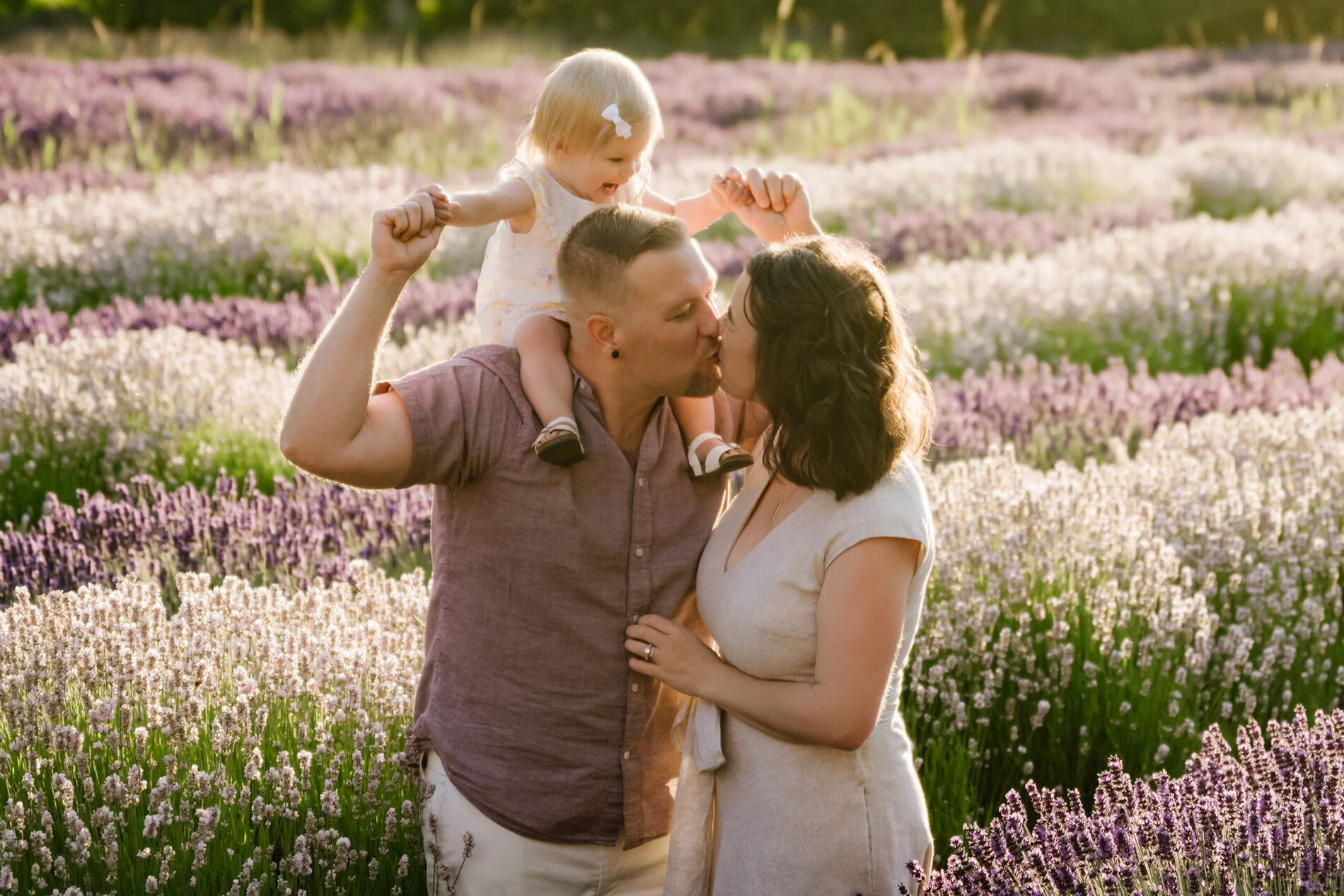 Parents sharing a kiss while their toddler sits on dad’s shoulders among lavender rows.