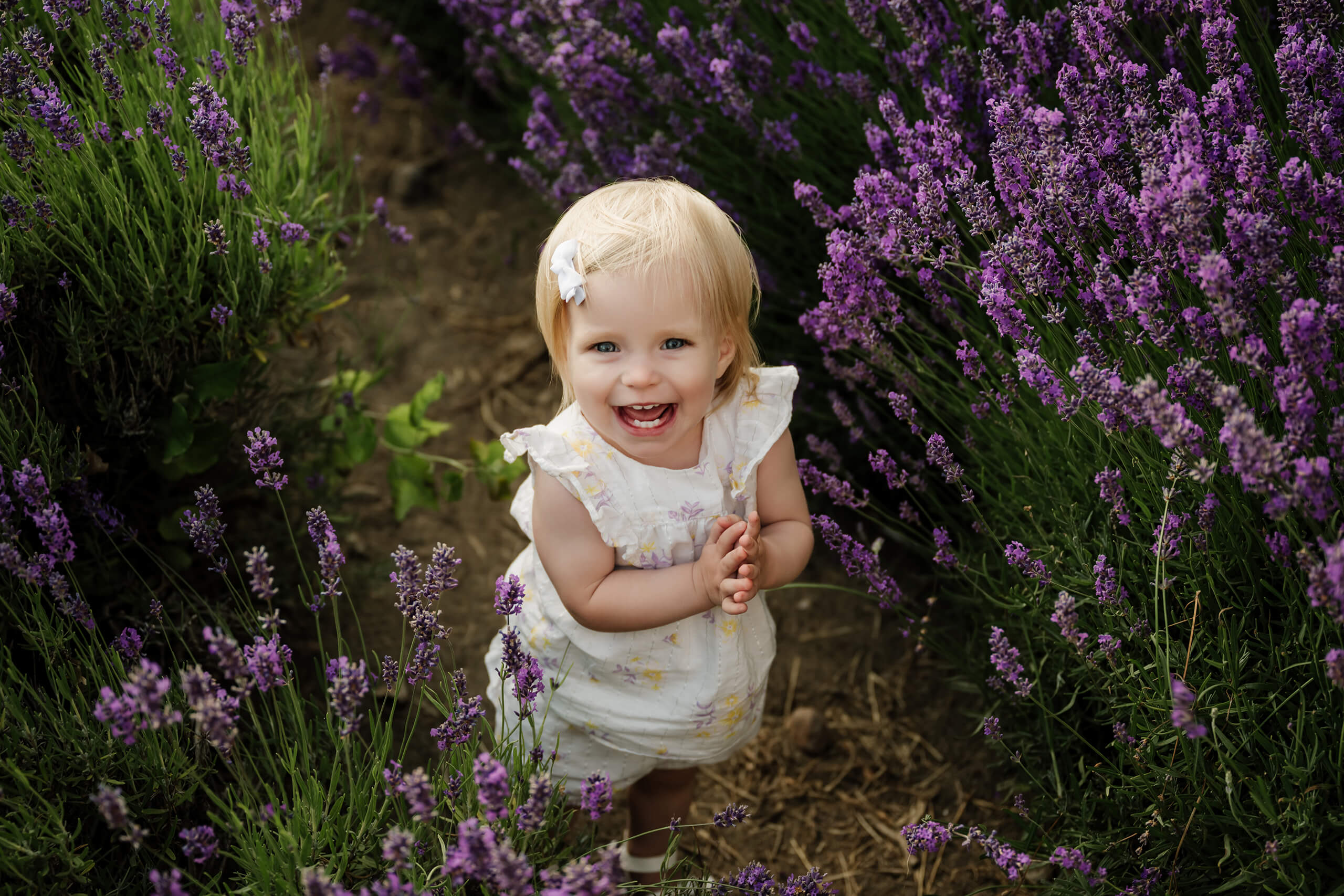 Smiling toddler standing in a lavender row during a playful outdoor family photo session.