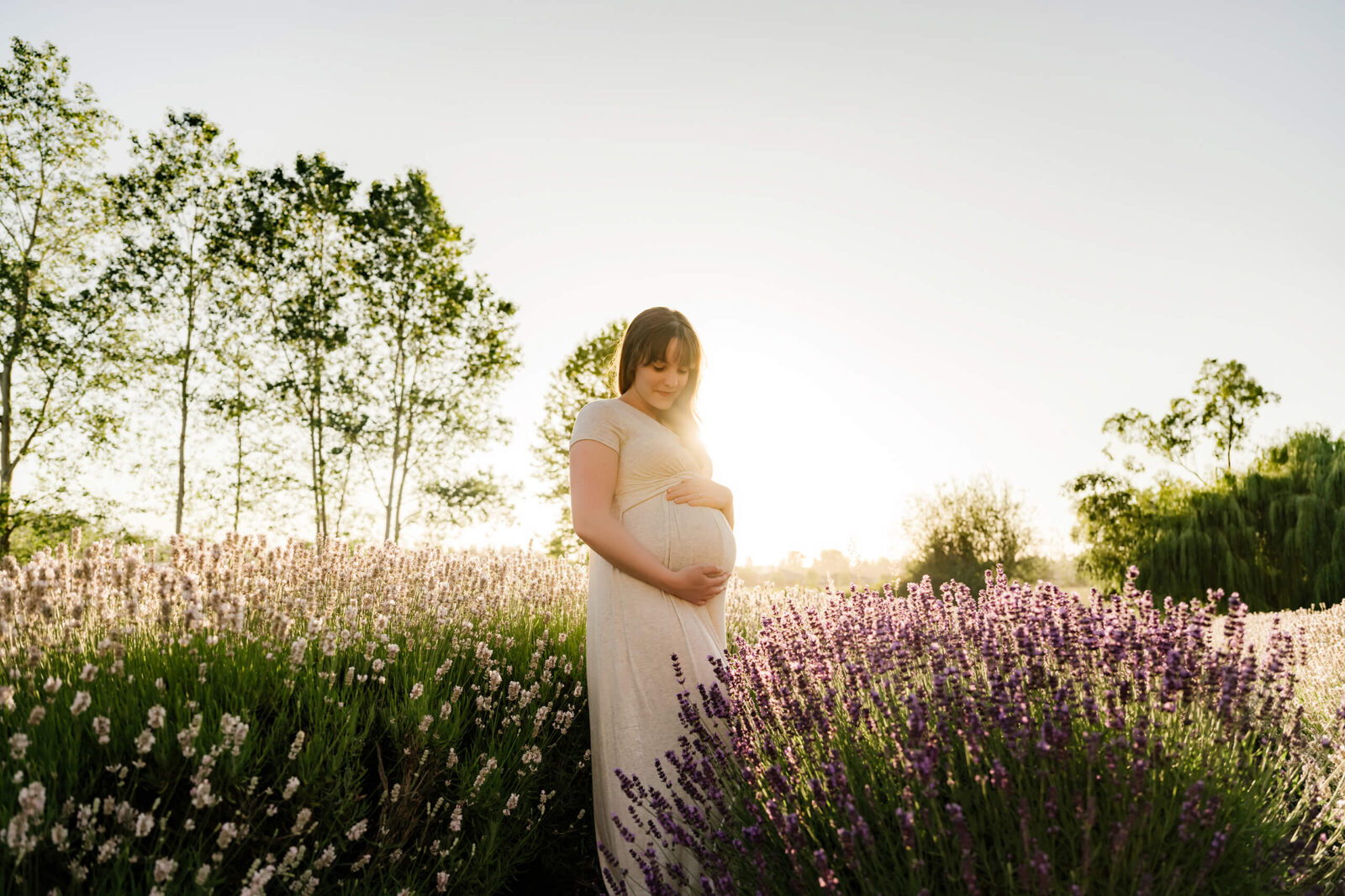Expecting mom standing among lavender rows at sunset during a lavender farm maternity session.