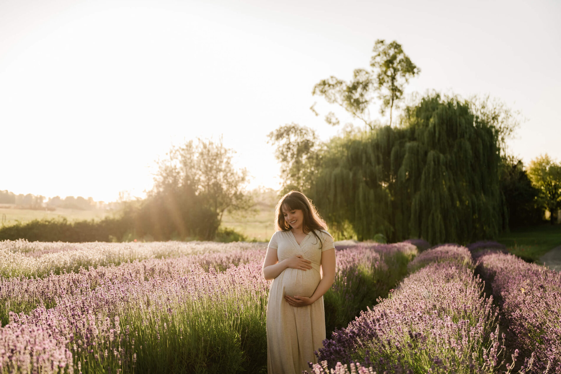 Pregnant woman holding her belly in a softly lit lavender field during an outdoor maternity photo session.