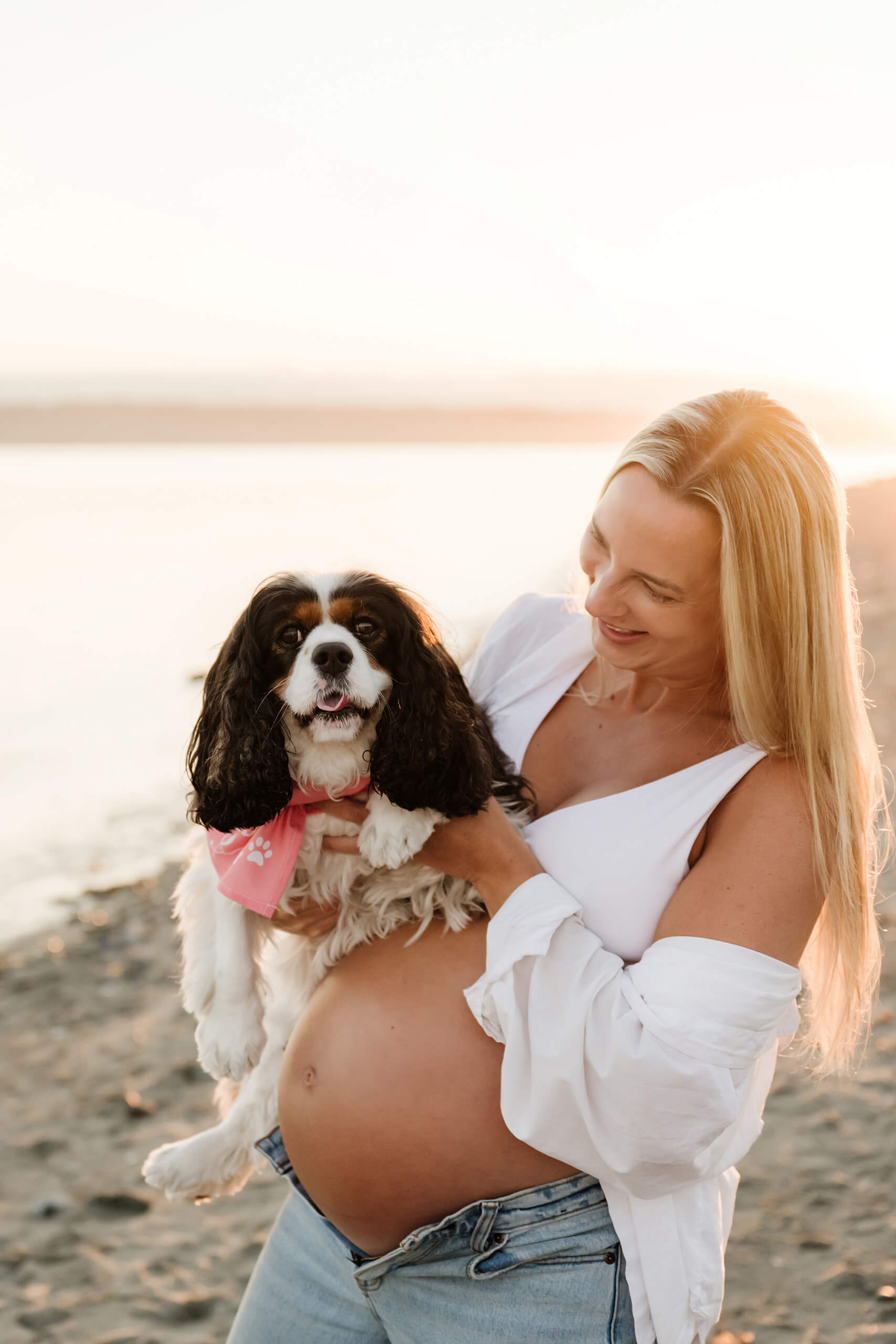 Expecting mother holding her Cavalier King Charles Spaniel on the beach during a sunset maternity session.