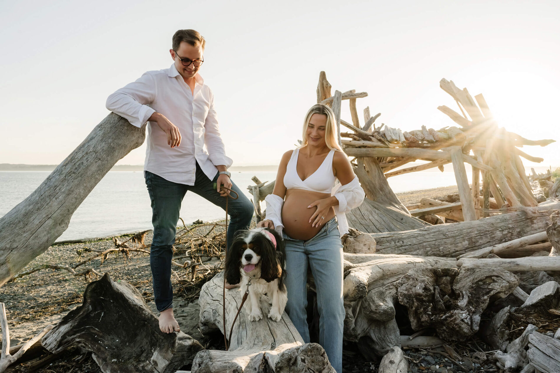 Expecting couple with their dog among driftwood on a Seattle beach during a maternity session.