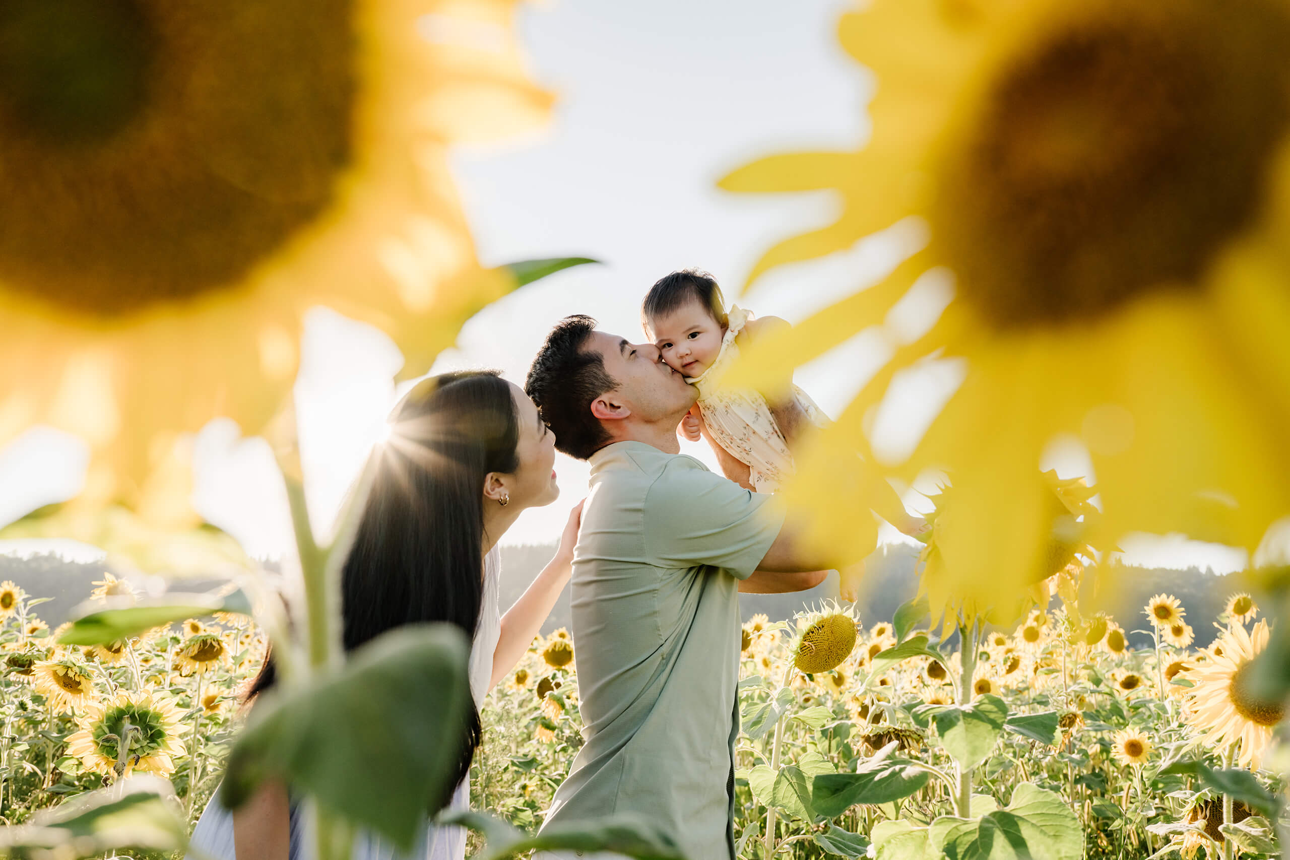 Parents holding their baby in a sunflower field with warm evening light during a Seattle family session.