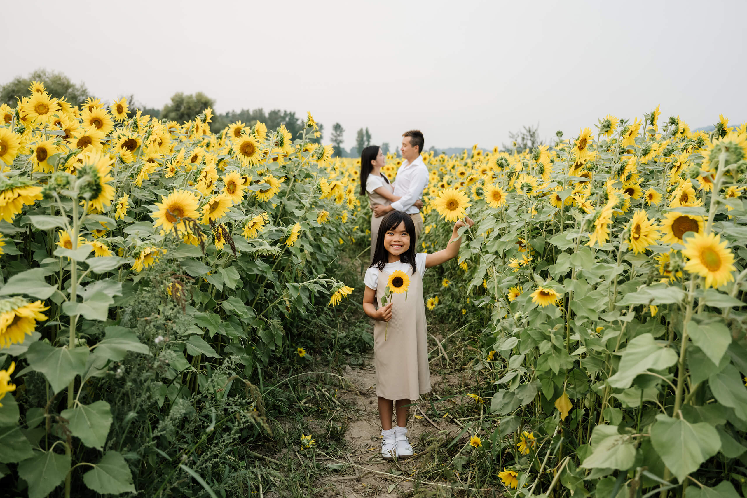 Child holding a sunflower in a Duvall sunflower field while parents stand together in the background.