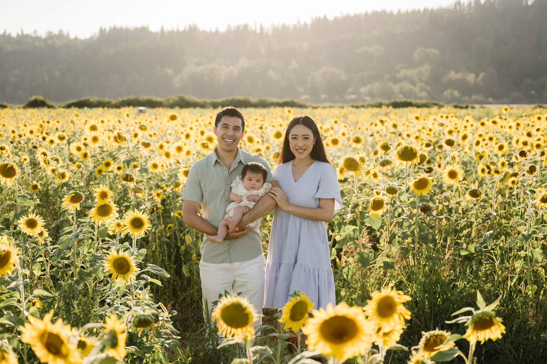 Parents holding their baby in a wide sunflower field during a sunset family photo session in Duvall, Washington.