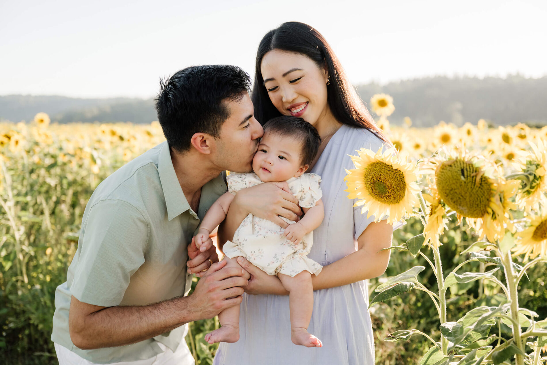 Father kissing his baby while the mother holds her during a sunset family session in a Duvall sunflower field.