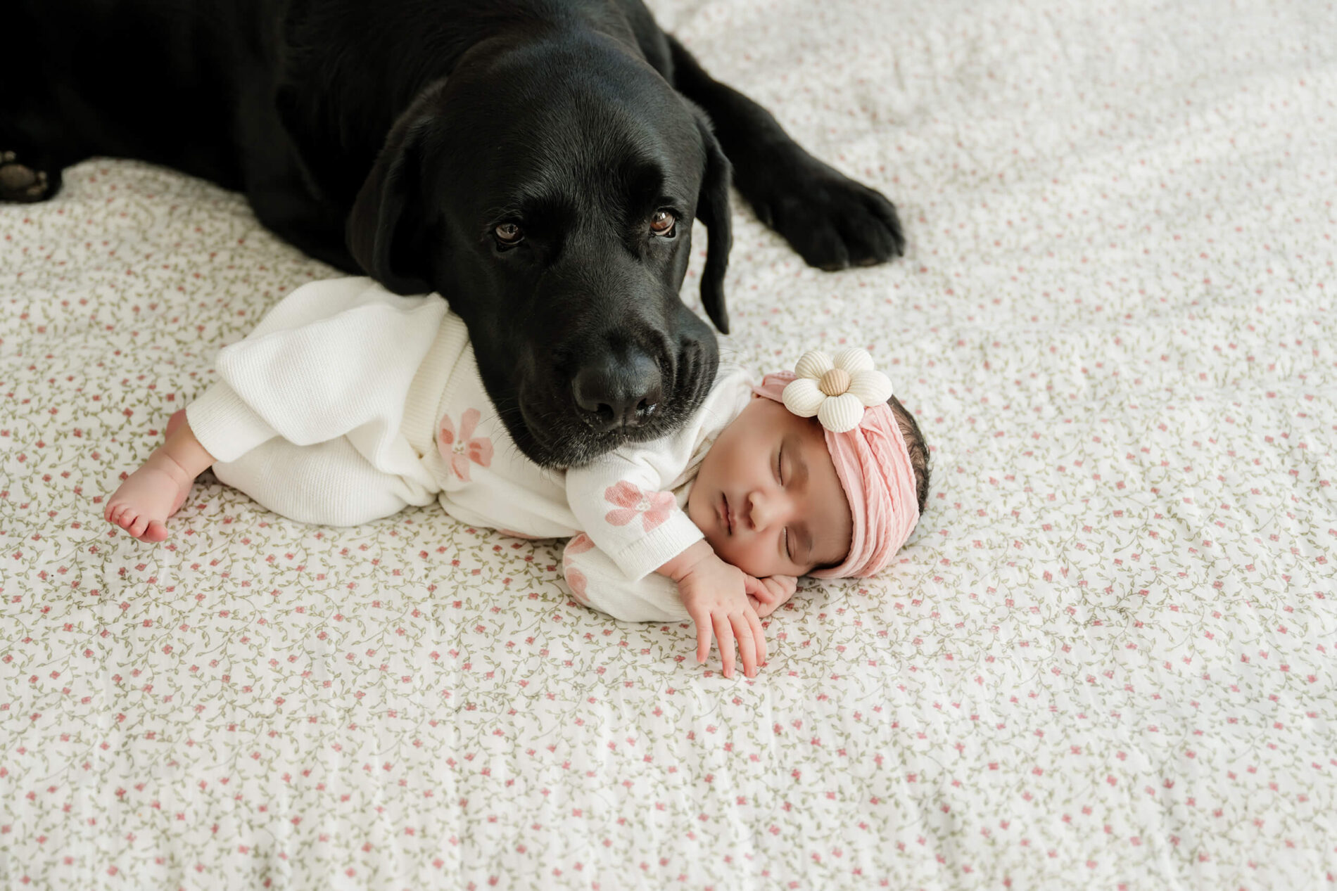 Black Labrador rests its head beside a sleeping newborn baby on a floral bedspread.