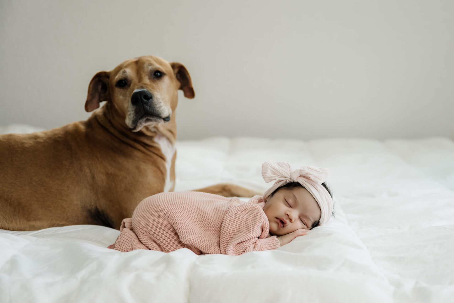 Sleeping newborn girl in a pink knitted outfit lies on a white bed beside the family dog.