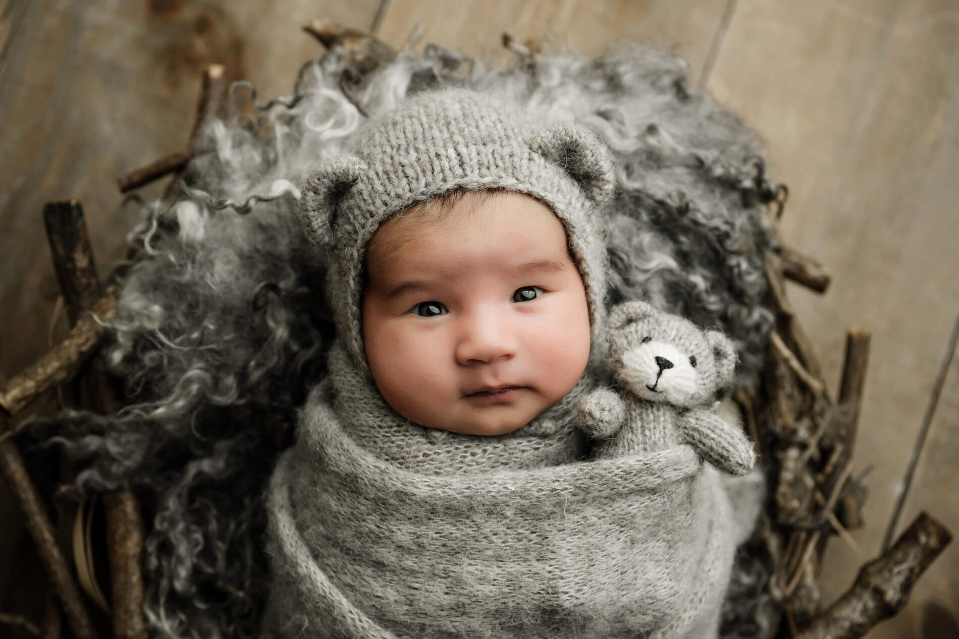 Awake newborn wrapped in gray with a bear-ear bonnet and matching teddy bear, posed in a rustic twig nest.