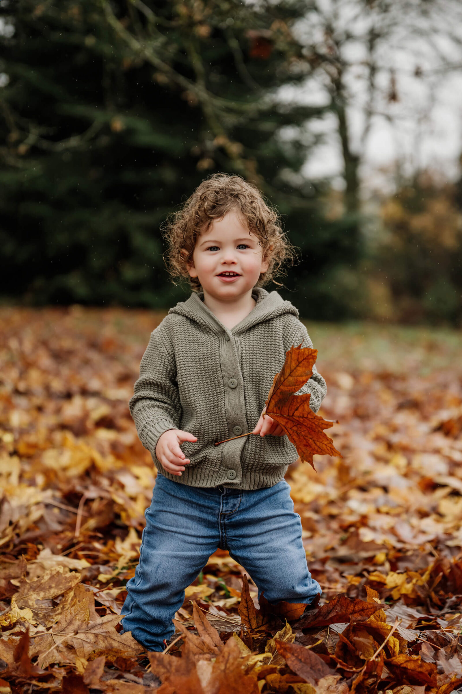 Young child stands among fallen autumn leaves holding a large orange leaf.