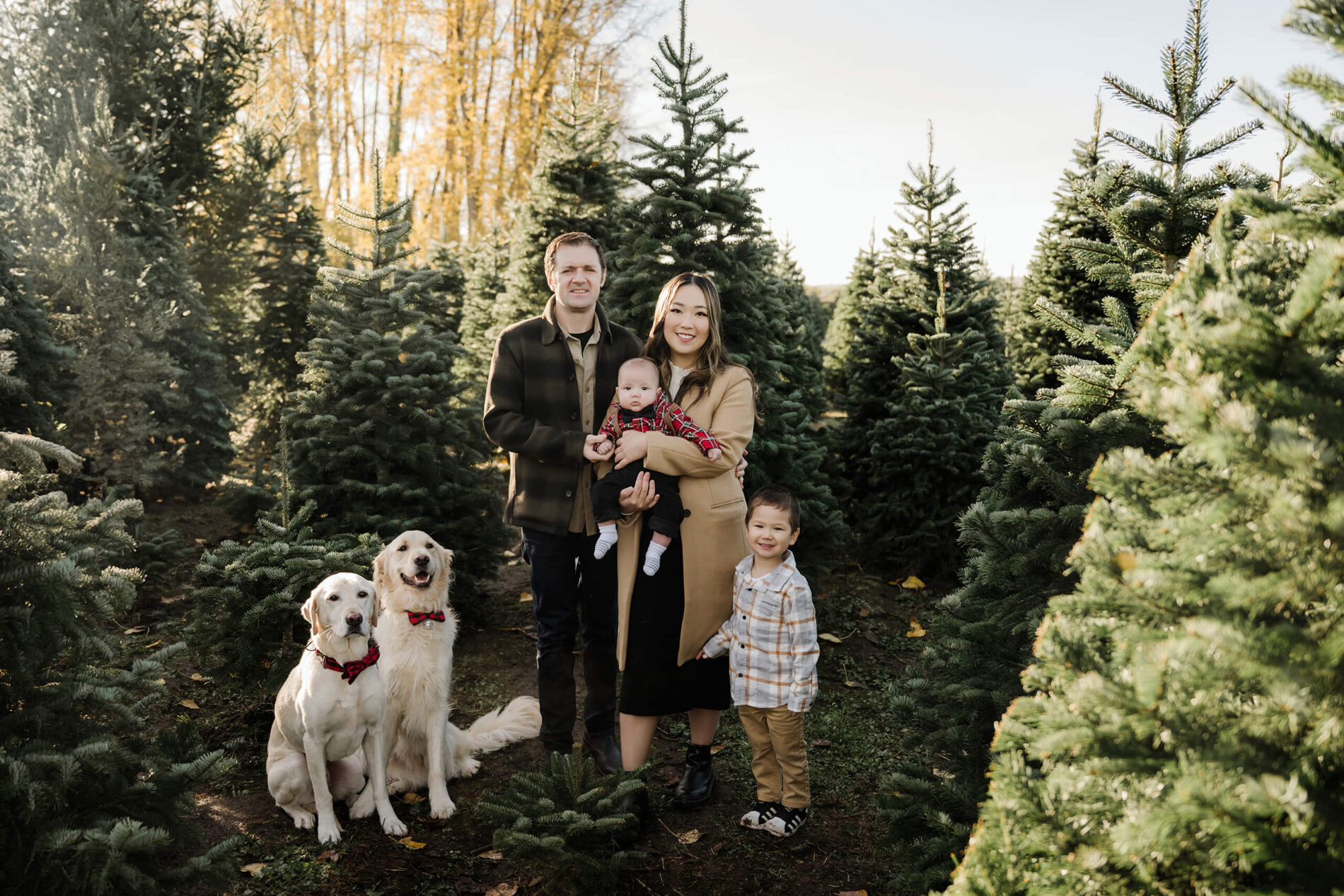 Mom and dad pose with their son, baby, and two dogs between rows of evergreen trees.