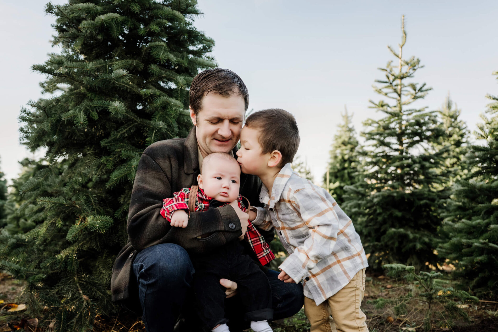Dad holds his baby as an older brother kisses the baby’s head among evergreen trees.