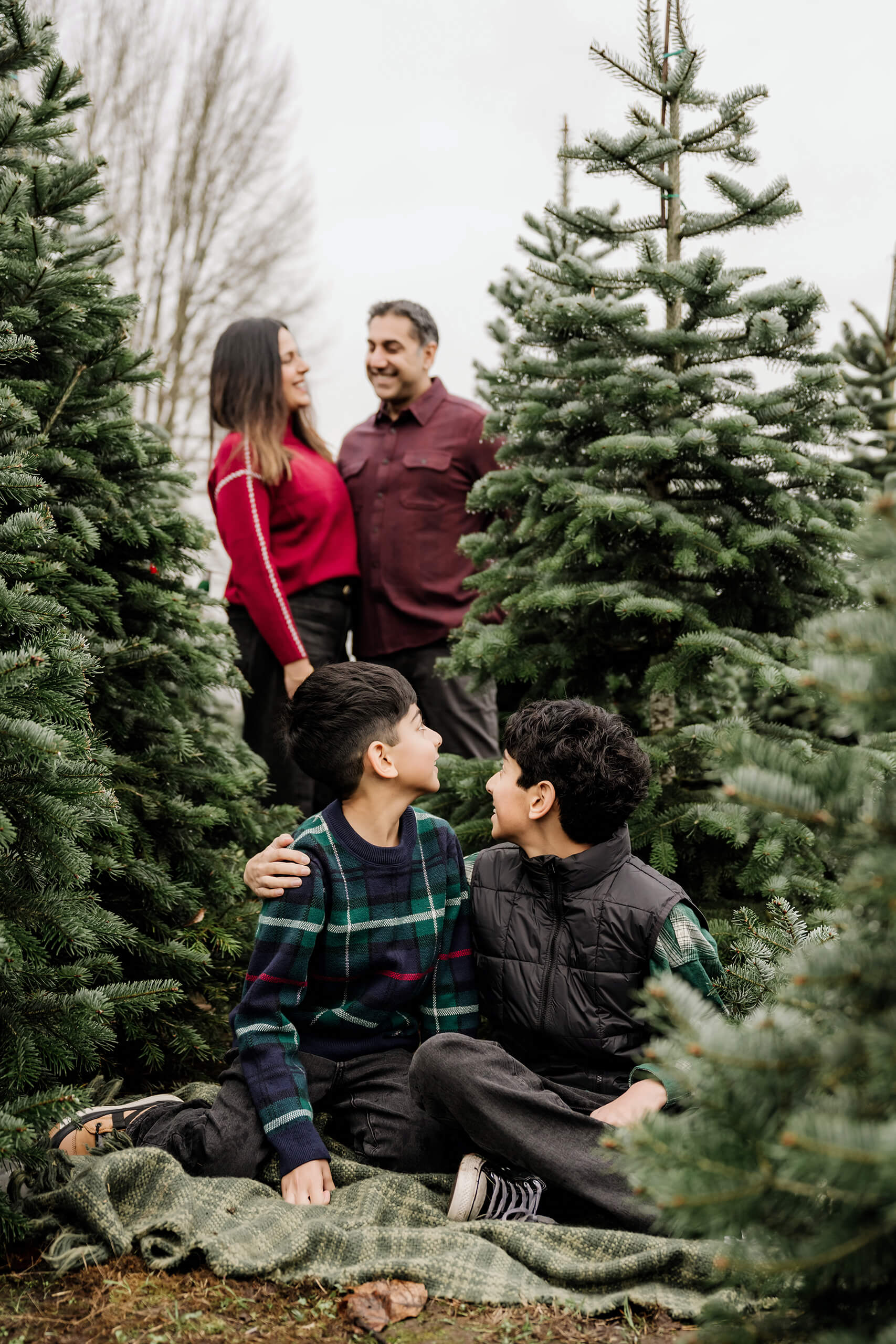 Two brothers sit together and look back toward mom and dad standing between the evergreen trees behind them.