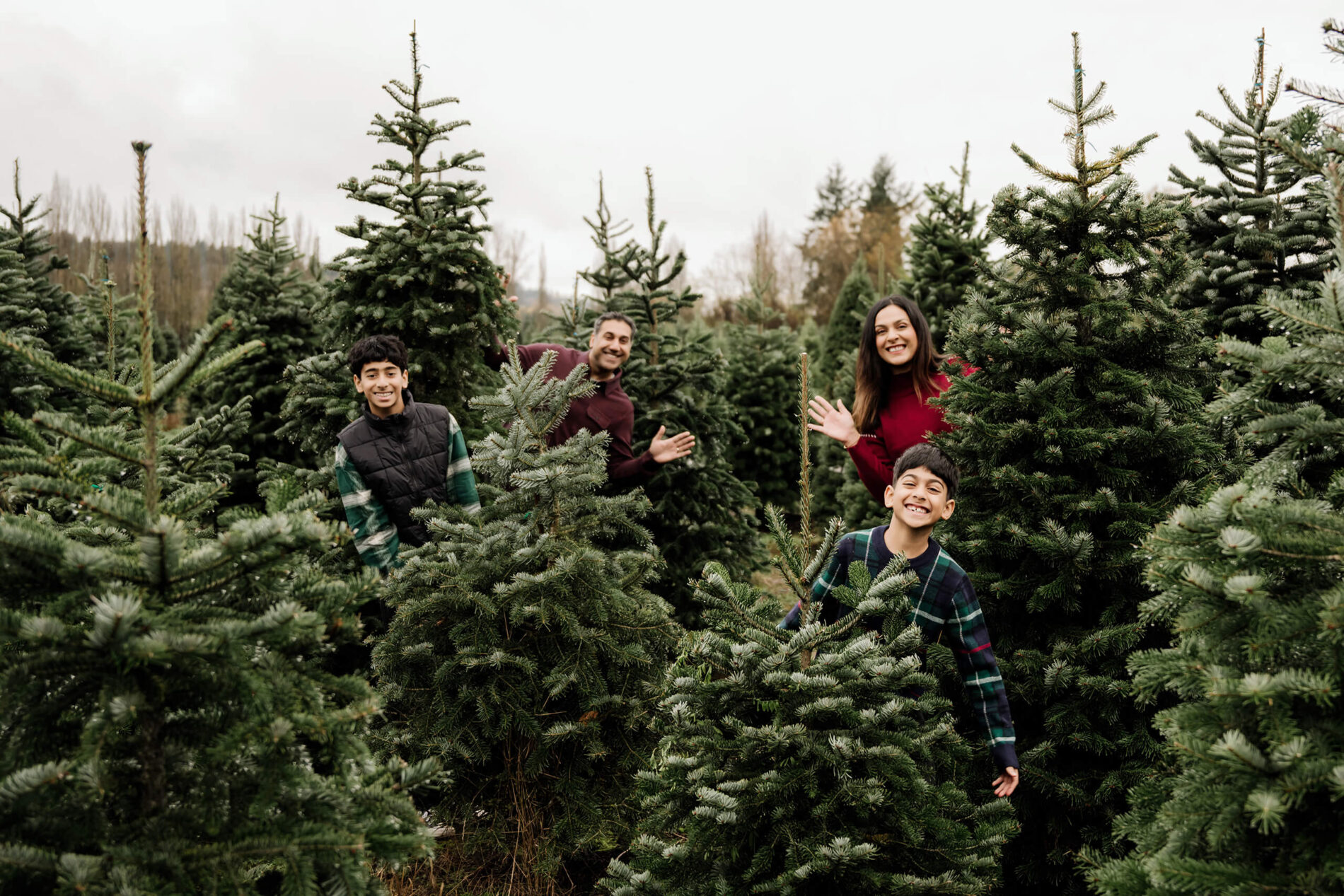 Mom, dad, and their two sons peek playfully from different spots among the evergreen trees.