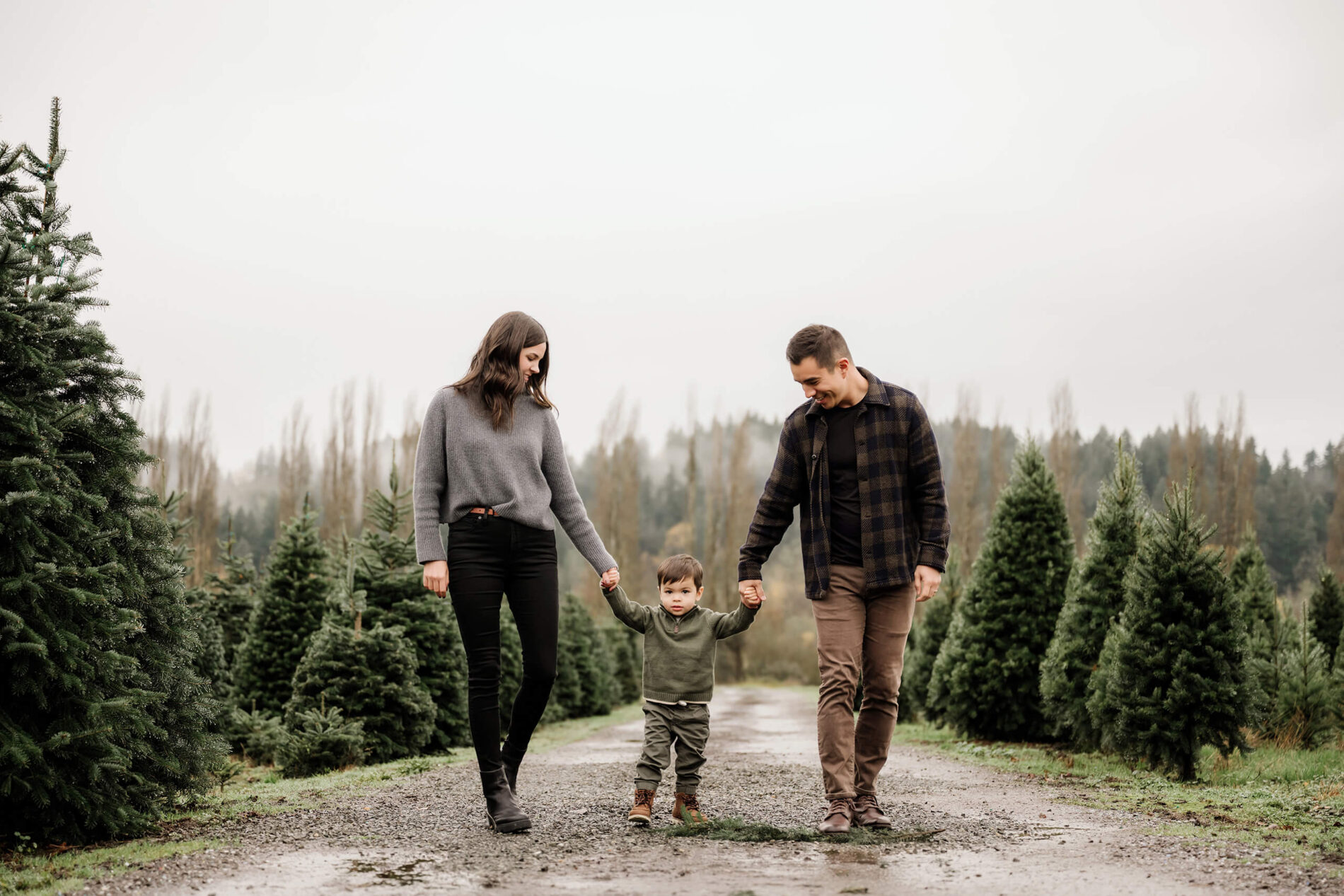 Mom and dad walk between rows of evergreen trees while holding their son’s hands between them.