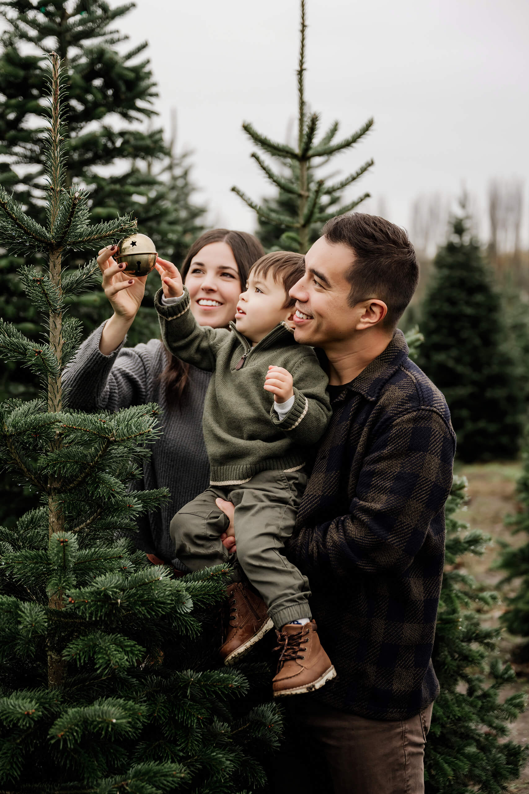 Dad holds his son as mom helps him reach toward a bell ornament hanging from an evergreen tree.